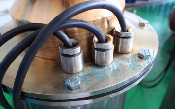 ZJ300QH不锈钢潜水泵