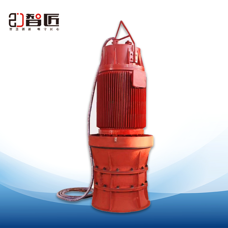1200QZB型潜水轴流泵