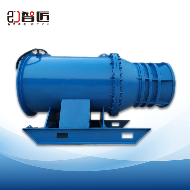 700QZB型潜水轴流泵